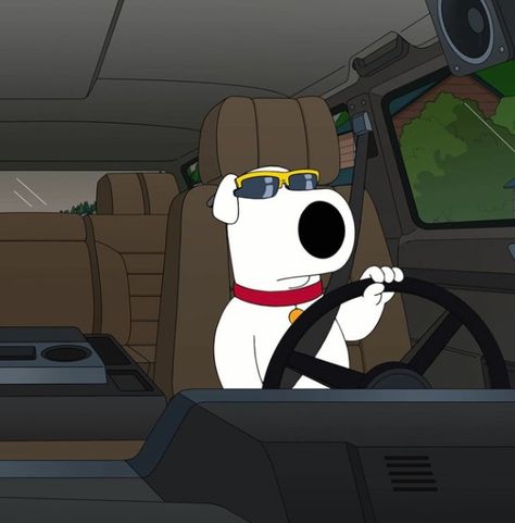 Cool Brian Playlist Covers Family Guy, Family Guy Playlist Cover, Driving Playlist Cover Funny, Brian Griffin Wallpaper, Brian Family Guy Pfp, Brian Griffin Icon, Stewie Griffin Pfp, Brian Griffin Pfp, Family Guy Stewie Icon