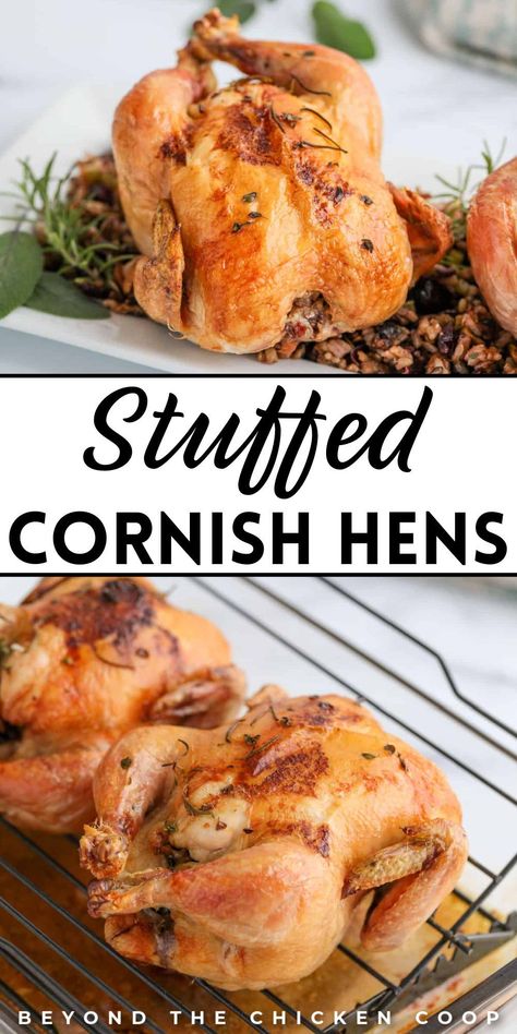 These stuffed Cornish hens make for a delicious and homemade holiday dinner, perfect for a festive Christmas feast. These easy-to-make delights are baked to perfection, offering a flavorful and satisfying meal that impresses. With a simple preparation process, these stuffed hens are a tasty centerpiece for your holiday table. Try this recipe now! Holiday Cornish Hen Recipe, Cornish Hen Stuffed With Wild Rice, Cornish Hens With Stuffing, Cornish Hen Stuffed, Stuffed Cornish Game Hen Recipes, Stuffed Game Hen Recipes, Cornish Hen Recipe Stuffed, Stuffed Cornish Hen Recipe With Stuffing, Cornish Hen Recipe Baked Stuffed