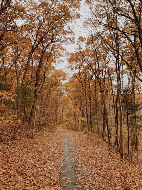 Fall Outdoors Aesthetic, Fall Health Aesthetic, Running In Fall Aesthetic, Fall Aesthetic Outdoors, Autumn Hike Aesthetic, Fall Running Aesthetic, Fall Fitness Aesthetic, Fall Hike Aesthetic, Hiking Aesthetic Fall