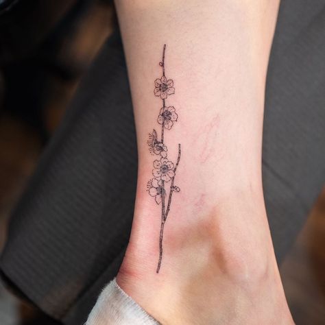 Plum Flowers Tattoo, Plum Blossom Tattoo Small, Plum Flower Tattoo, Plum Tattoo, Plum Blossom Tattoo, Sakura Tattoo, Crazy Tattoos, Family Tattoo, Plum Blossoms