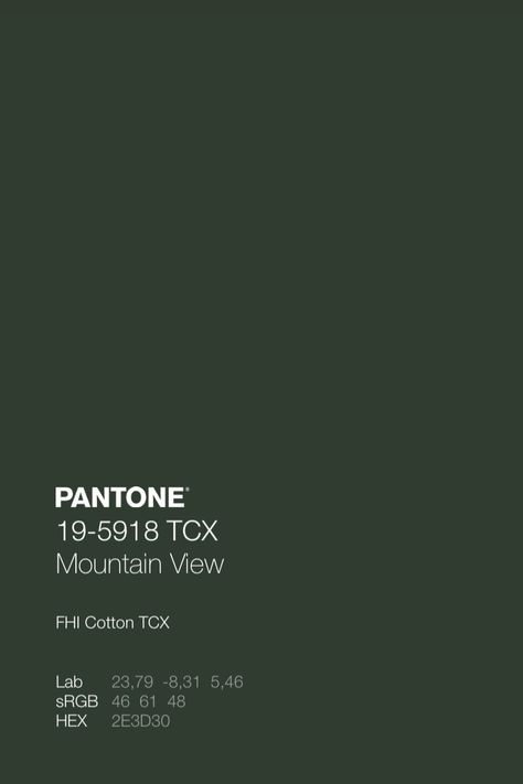 Aesthetic Dark Green, Free Adobe Illustrator, Pantone Color Chart, Pantone Palette, Pantone Colour Palettes, Color Design Inspiration, Dark Green Aesthetic, Rays Of The Sun, Pantone Colors