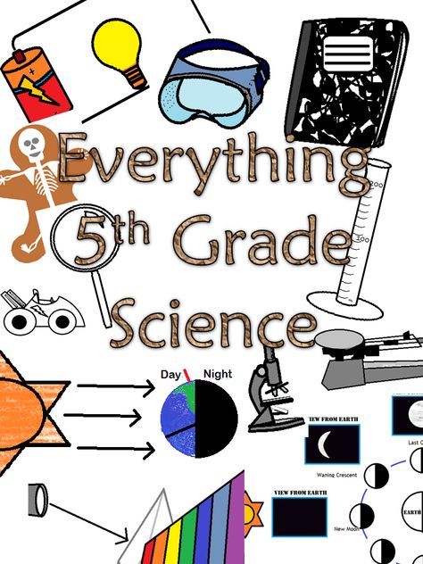 Fifth Grade Science Classroom, 5th Grade Science Classroom Setup, 5th Grade Science Anchor Charts, 5th Grade Projects, 5th Grade Science Classroom, 5th Grade Lesson Plans, 5th Grade Science Worksheets, 5th Grade Science Experiments, Science Tools Activities