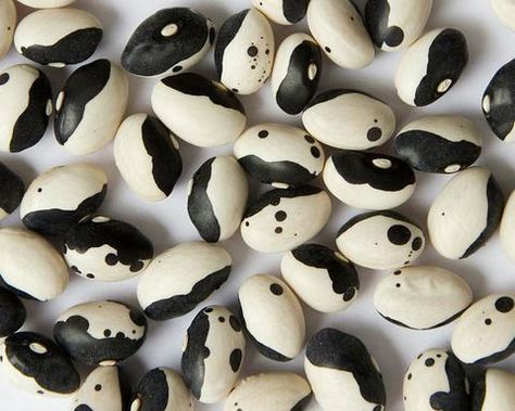 Calypso Beans Bush Beans, Farm Logo, Heirloom Seeds, Stuffed Shells, Pitcairn Islands, Garden Seeds, Yin Yang, Trinidad And Tobago, Idaho