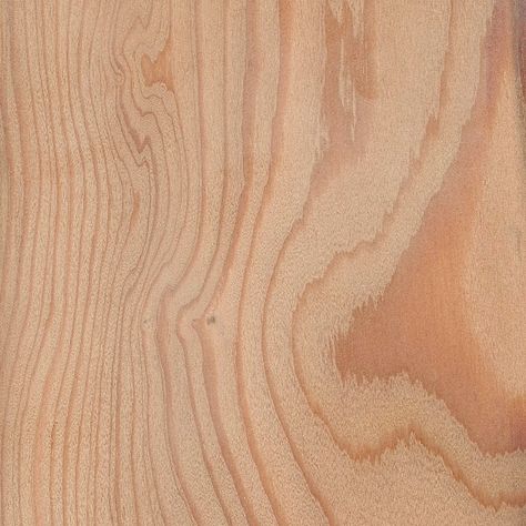 European Larch | The Wood Database - Lumber Identification (Softwood) Larix Decidua, Toilet Remodel, Diy Hummingbird Feeder, Larch Cladding, Small Rv, Larch Wood, Wood Sample, White Kitchen Design, Exterior Cladding