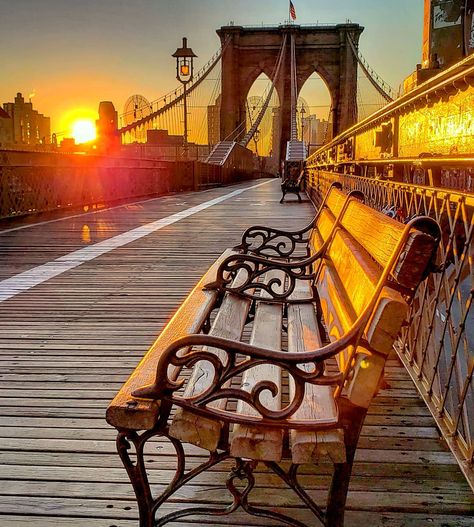 Everything starts with a sunrise, but its what we do before it sets that matters. . . . #brooklyn #brooklynbridge #bridges #bench #benches… New York Brooklyn Bridge, Park Benches, Lake George Village, New York Brooklyn, East River, Ny City, City New York, Manhattan New York, Nova York