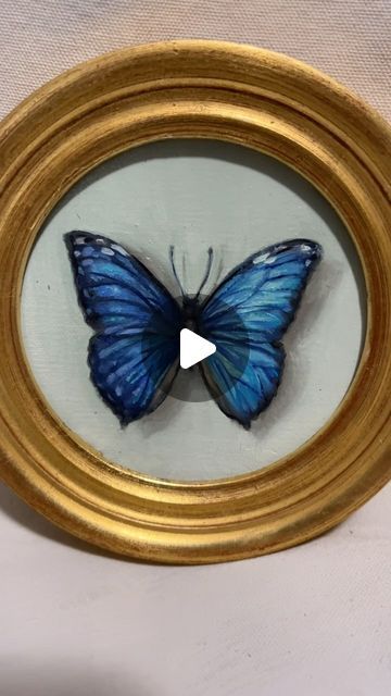 Carolina Elizabeth on Instagram: "The best thing about being an artist is that it gives the opportunity to pretend to be all the things you read about in the best novels. 
Lately I’ve been listening a series by Deanna Raybourn and so I get to pretend I’m a lepidopterist as I study one of my morpho butterflies and try to capture it in paint. 

#morpho #butterfly #lepidopterist #painting #art" Deanna Raybourn, Being An Artist, Morpho Butterfly, Best Novels, An Artist, Painting Art, A Series, The Things, Butterflies