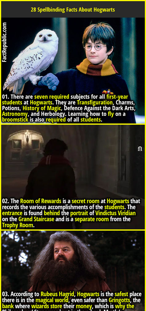 01. There are seven required subjects for all first-year students at Hogwarts. They are Transfiguration, Charms, Potions, History of Magic, Defence Against the Dark Arts, Astronomy, and Herbology. Learning how to fly on a broomstick is also required of all students. Defence Against The Dark Arts, History Of Magic, Hp Facts, Rubeus Hagrid, Fact Republic, Harry Potter Stories, Harry Potter Items, First Year Student, Student Information