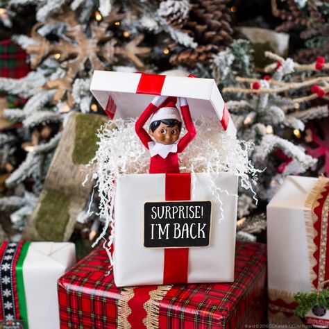 If you're looking for easy Elf on the Shelf ideas, you're in the right place! Check out our top 6 super simple elf ideas! Elf Ideas Easy, Elf Crafts, Awesome Elf On The Shelf Ideas, Elf Activities, Xmas Elf, Elf Antics, Elf Fun, Christmas Preparation, Buddy The Elf