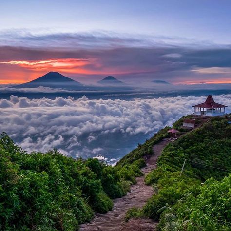 From @milan2707b  Location : Gunung Andong, Magelang, Jawa Tengah Mention temen kamu yang pengen diajak kesini!  Jangan lupa untuk follow dan tag foto petualangan kamu ke @id.petualang dan gunakan hastag #idpetualang ya  Media partner👇👇 @kabut_lembut & @pendakimerahputih Andong, Central Java, Sepeda Motor, Mountain Climbing, Camping And Hiking, Mountain View, Mountain Biking, Travel Photos, Beautiful Places