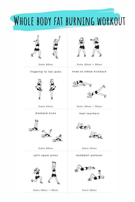 Easy Whole Body Workout At Home, Whole Body Fat Burning Workout, Whole Body Workout Gym, Whole Body Workout At Home, Fat Burning Workout At Home, Full Body Fat Burning Workout, Body Fat Loss Workouts, Whole Body Workout, Graffiti Drawings