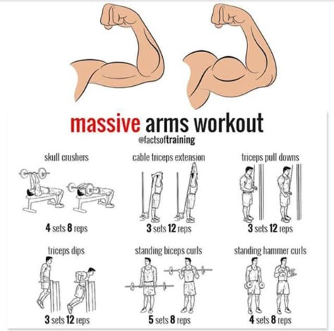 massive arms workout for men Arms Workout For Men, Rep Ranges, Arm Workout Men, 50 Cal, Arms Workout, Arm Workouts, Workout Plan For Women, Weight Workout, Aerobics Workout