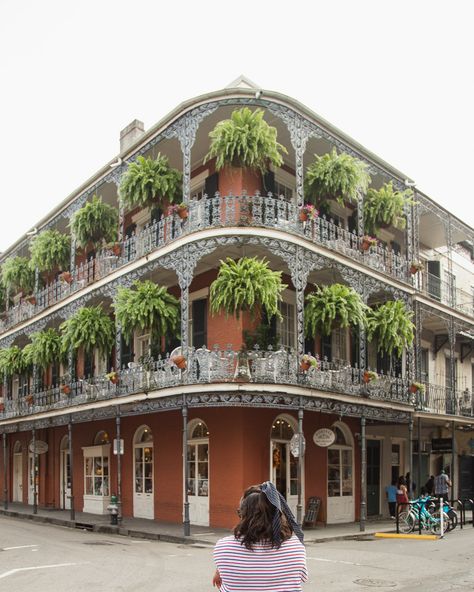 22 Things to Do in the Historical French Quarter of New Orleans | There She Goes Again Places Reference, Nola Architecture, Panning Shot, Nova Orleans, Rich Rich, French Quarter New Orleans, City Ideas, Louisiana Travel, Sims Builds