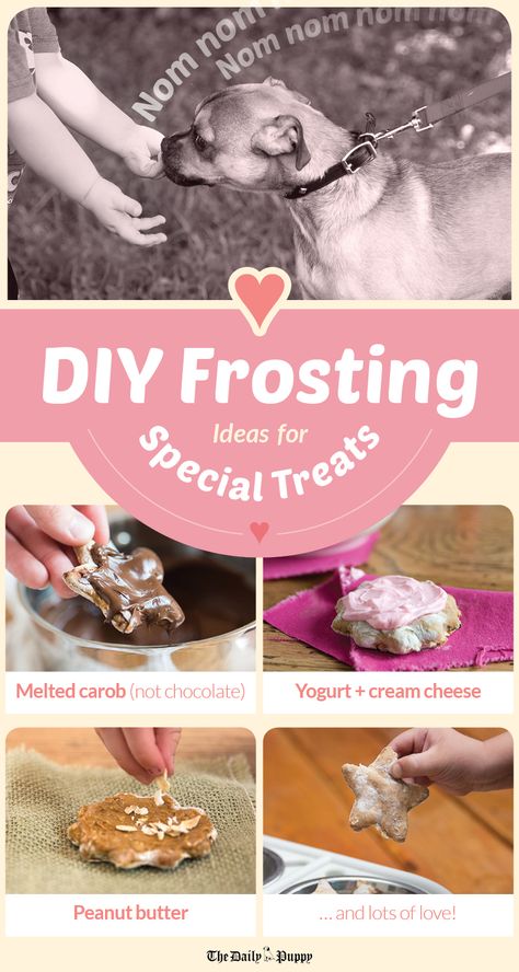 Diy Frosting, Cookies To Decorate, Pup Cakes, Pet Bakery, Aggressive Dogs, Homemade Pet Treats, Dog Cake Recipes, Pet Treats Recipes, Healthy Dog Treats Homemade