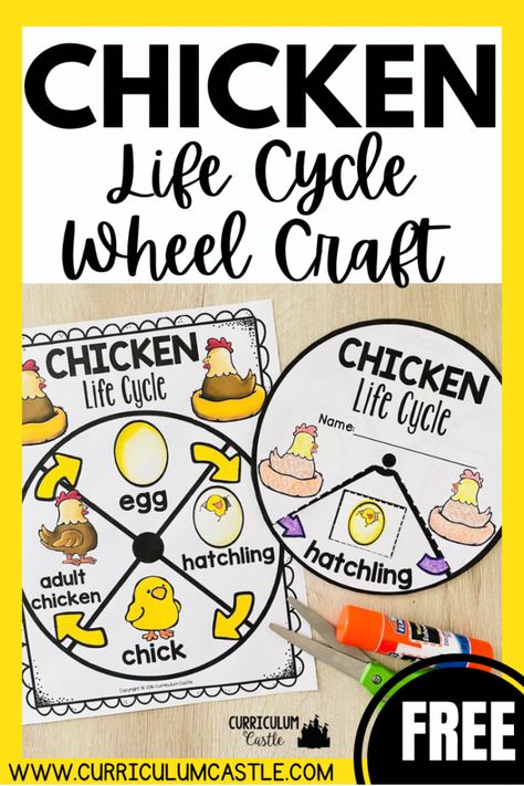 Life Cycle Of A Chicken Kindergarten, Life Cycle Of A Bird Craft, Chicken Science Preschool, Chicken Life Cycle Kindergarten, Life Cycle Of Chicken Preschool, Lifecycle Of A Chicken Craft, Life Cycles Activities For Preschoolers, Lifecycle Of A Chicken Preschool, Chicken Life Cycle Craft Preschool