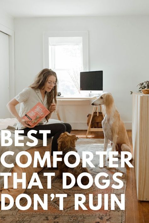 Dog Friendly Bedroom Comforter, Master Bedrooms Decor Dog Friendly, How To Keep Dog Hair Off Bed, Dog Friendly Bedding Ideas, Pet Friendly Bedding Ideas, Pet Friendly Master Bedding, Dog Friendly Master Bedding, Dog Friendly Bedding, Pet Friendly Bedroom Ideas