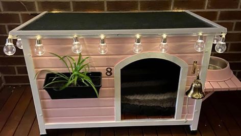 Kmart Australia shoppers show off dog kennel makeovers using cubby houses | 7NEWS.com.au Fancy Dog Houses Indoor, Dog House Decoration, Indoor Dog Houses For Small Dogs, Cool Dog Houses Indoor, Diy Cat Kennel, Kitty House Diy, Cute Dog Houses Indoor, Diy Small Dog House, Dog House Makeover