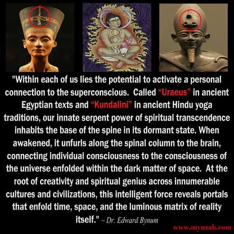 “Within each of us lies the potential to activate a personal connection to the superconscious. Called “Uraeus” in ancient Egyptian texts and “Kundalini” in ancient Hindu yoga traditions, our innate serpent power of spiritual transcendence inhabits the base of the spine in its dormant state. When awakened, it unfurls along the spinal column to the brain, connecting individual consciousness to the consciousness of the universe enfolded within the dark matter of space. At the root of creativity and Hindu Yoga, Kemetic Spirituality, Spinal Column, Kundalini Awakening, Personal Connection, Black Consciousness, African Spirituality, Spirit Science, A Course In Miracles