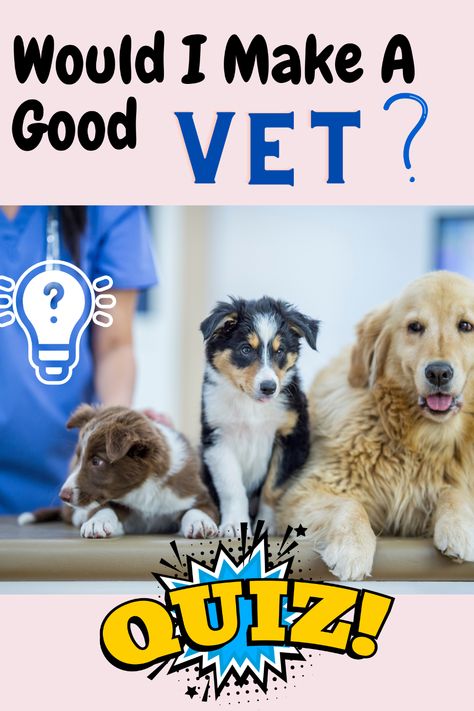 Thinking about becoming a veterinarian? This brutally honest quiz will help you decide whether you've got what it takes to be a vet, whether you're a school leaver or considering a career change. Vet Study Aesthetic, Study Motivation Veterinary, Vet School Outfits, Vet School Essentials, Vet School Study Tips, Vet Asthetic Pics, Vet School Aesthetic, Vet Tech Outfit, Vet Tech Aesthetic