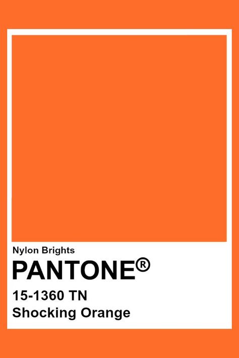 18 Apr 2020 - This Pin was discovered by Do you Wanted. Discover (and save) your own Pins on Pinterest. Orange Pantone Colour Palettes, Orange Color Pantone, Orange Pantone Color, Coleslaw With Apples, Orange Moodboard, Orange Colour Palette, Icon For Apps, Orange Pantone, Pantone Orange