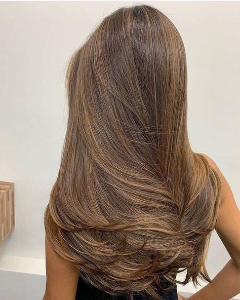 Ladies Hairstyles, Rambut Brunette, Kadeřnické Trendy, Breaking Hair, Honey Brown Hair, Brown Hair Looks, Brown Hair Inspo, Fesyen Rambut, Brunette Hair With Highlights