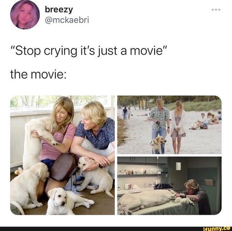 Marley And Me Quotes, Marley And Me Movie, Marley And Me, Romantic Movie Quotes, Stop Crying, Movie Quotes, Movies Showing, Me Quotes, Photo And Video