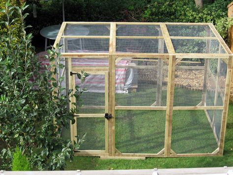 Aviaries4U Parakeet Aviary, Bird Aviary For Sale, Parrot Aviary, Aviary Ideas, How To Build Abs, Animal Enclosures, Bird House Kits, Bird Aviary, Parrot Cage