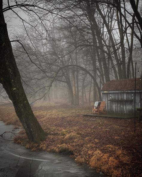 🪦🌲🍄🍂🍁🥀🌫️⛸️🤍#abandonment #aesthetic #lake Abandoned Town Aesthetic, Forest Backyard, Spooky Cats, Aesthetic Lake, Abandoned Town, Environment Design, Pinterest Board, Poetry, Forest