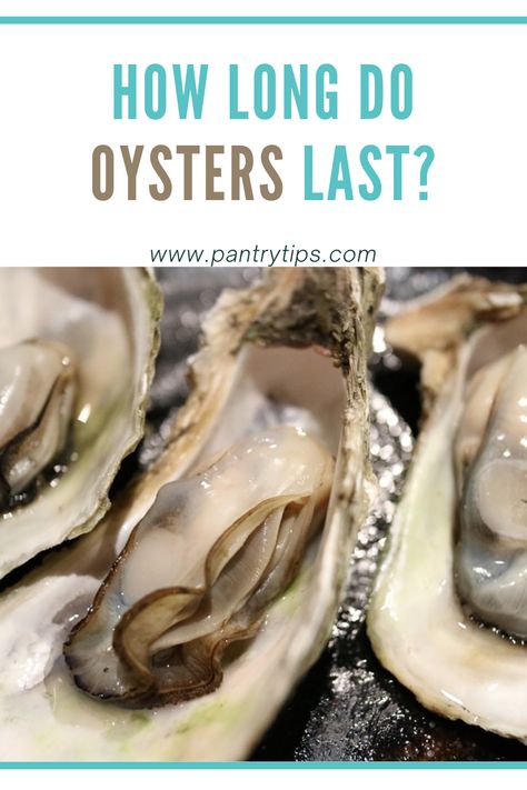 How To Prepare Oysters, How To Shuck An Oyster, Mexican Oysters, Fresh Oyster Recipes, Oyster Recipes No Shell, Steamed Oysters, Canned Oysters, Scalloped Oysters, Cooked Oysters