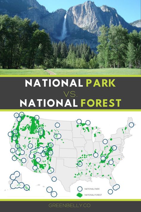 Tree Facts, Traveling Usa, All National Parks, Rv Tour, Forest Map, Forest Ranger, New River Gorge, National Parks Map, Park Ranger