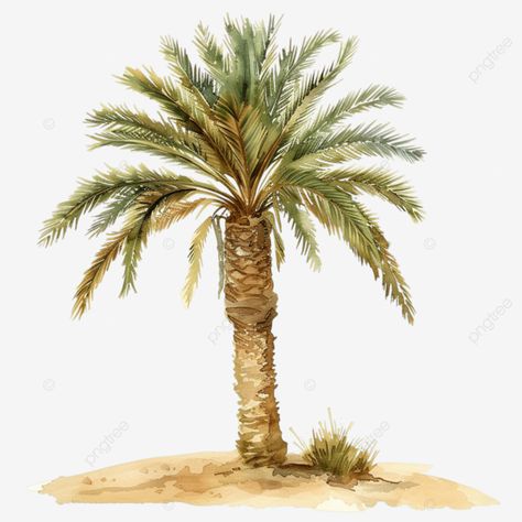 watercolor palm tree in the desert watercolor drawing palm tree png Palm Tree Sketch, Palm Tree Watercolor, Desert Watercolor, Watercolor Palm Tree, Palm Tree Png, Palm Tree Drawing, Transparent Watercolor, Tree Png, Transparent Image