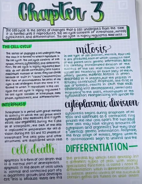 Class 11 Aesthetic Notes, Cells Aesthetic Notes, Asthetic Notes Biology, Aesthetic Notes Inspo Science, Cell Cycle And Cell Division Notes For Neet, Cell Notes Aesthetic, Cell Division Notes Aesthetic, Cell Cycle And Cell Division Notes, Cell Division Notes