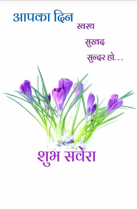 Shubh Prabhat In Hindi, Suprabhat Mornings In Hindi, Good Morning Hindi Messages, Good Morning Hindi, Suprabhat Images, Good Morning In Hindi, Good Morning Posters, Good Morning Massage, Good Morning Msg