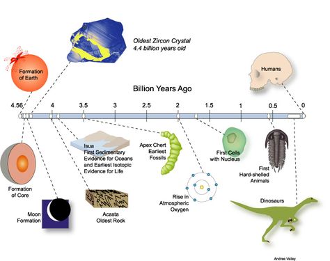 humans on earth timeline - Google Search Earth Timeline, Phanerozoic Eon, Elementary Montessori, Geologic Time Scale, Earth History, Montessori Teaching, Teaching Humor, Montessori Elementary, Earth Images