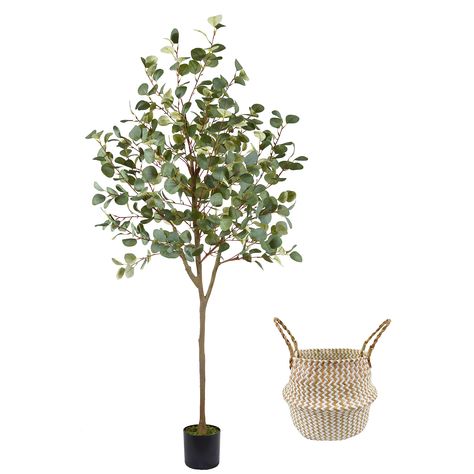 PRICES MAY VARY. 6ft tall artificial eucalyptus tree with black pot(6.5"Diameter,5.7"Height) and perfect seagrass woven basket. Nearly Natural Design: The trunk is easy to assemble and stable. The unique eucalyptus leaf design makes the tree more realistic and looks no different from a real tree. Shape Adjustment: There are wires inside the branches and leaves. When you receive the fake eucalyptus plant, you can shape the branches and twigs to present the perfect shape of the tree. High Quality Fiddle Fig Tree, Fake Eucalyptus, Eucalyptus Plant, Sansevieria Plant, Artificial Eucalyptus, Ficus Tree, Eucalyptus Tree, Minimalist Interior Style, Faux Tree