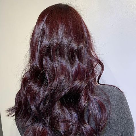 Red Hair In Dark Hair, Dark Red On Dark Hair, Dark Colour Hair Dyes, Dark Red Hair On Brunettes, Cherry Red Hair Natural, Dark Vampire Hair, Simple Hair Colour Ideas, Red Hair Dye On Dark Hair, Darkest Red Hair Color