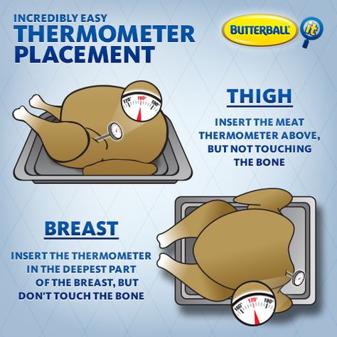 Want to keep your cool while checking your turkey’s temperature? It’s simple. Check a few key places to know when your turkey is done.  Insert a meat thermometer between the turkey’s thigh above the drumstick without hitting bone.  When the thermometer reads 180 degrees F, you’re done! (If it’s stuffed, check the center of the stuffing to make sure it’s 165 degrees F as well.). Cooking Temp For Turkey, Temperature For Turkey, Turkey Temperature When Done, 15lb Turkey Cook Time, Turkey Temperature, 10-14 Lb Turkey Cook Time, Turkey Cooking, Turkey Cooking Times, Turkey Rub