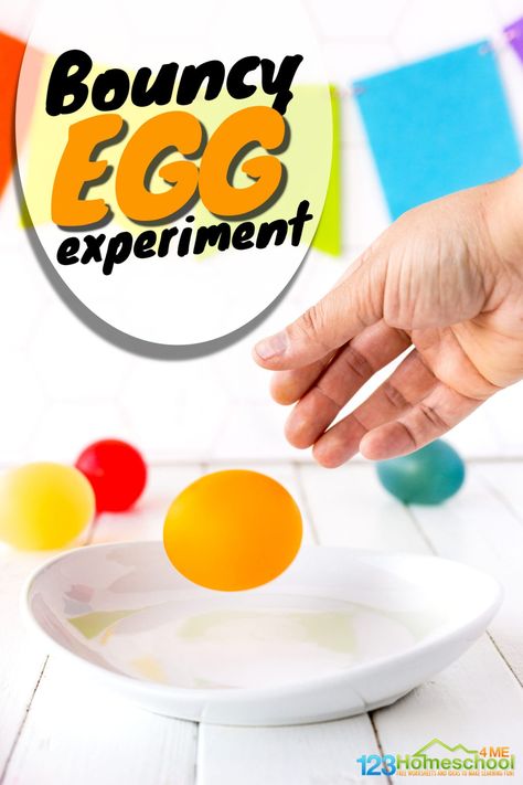 🥚 Bouncy Egg Science with Free Egg in Vinegar Experiment Worksheet Bouncy Egg Experiment, Dancing Raisins Experiment, Easter Science Experiments, Egg In Vinegar, Food Science Experiments, Egg Science, Egg Experiment, Bouncy Egg, Candy Science Experiments