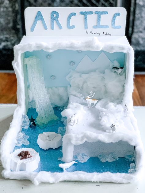 Antartica Habitat Project, Artic Shoebox Project, Polar Ice Habitat Project, Artic Ecosystem Project, Polar Habitat Diorama, Tundra Habitat Project, Polar Ecosystem Project, Tundra Shoebox Project, Arctic Habitat Project