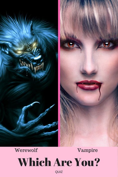 The war between vampires and werewolves has been going on for what now seems like a millennium. Werewolf Boyfriend Aesthetic, Werewolf X Human, Vampire X Werewolf, Vampire Quiz, Vampire Powers, Werewolves Mates, Harry Potter Trivia Quiz, Adventure Time Poster, Scary Vampire