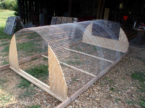 chickenwire dorm Hoop Coop, Raising Meat Chickens, Chicken Tunnels, Quail Coop, Small Chicken Coops, Duck Coop, Cattle Panels, Chicken Tractor, Urban Chickens