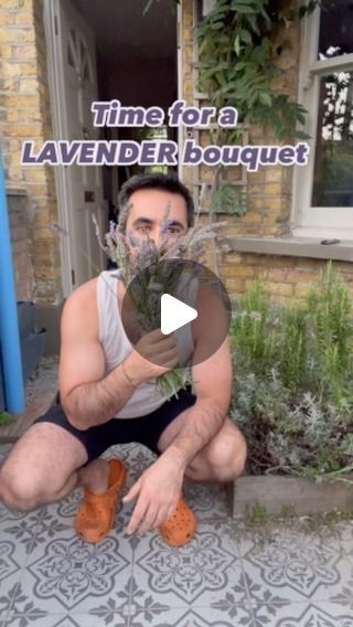 Hayati Alaluf on Instagram: "💜 Lavender PSA 💜

Left to their own devices, lavender can become woody and ungainly, so to keep plants compact and attractive, it’s best to trim them annually in late summer, just after flowering has finished. Remove any spent flower stalks and about 2.5cm (1in) of leaf growth. ✂️✂️✂️

Don’t forget to enjoy the smell! 🥰

Have you pruned your already?

#garden #gardening #gardentherapy #gardener #gardencentre #gardencenter #newplants #plant #plants #urbangarden #londongardens #lavender" Lavender Bouquet, Late Summer, Garden Center, Urban Garden, Lavender, Trim, Canning, Plants, Flowers