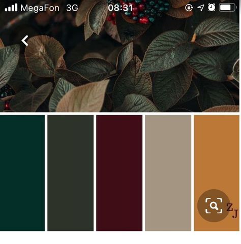 Dark Green Room Color Scheme, Hunter Green And Rust Color Palette, Dark Moody Palette, Dark Botanical Color Palette, Dark Boho Color Scheme, Burgundy Gold Green Color Palette, Terracotta And Dark Green Color Palette, Jewel Tone Living Room Color Pallets, Burgundy Lounge Living Rooms