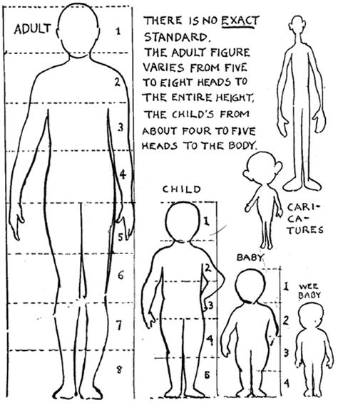 Drawing instructions below will begin with drawing basic shapes, circles, ovals, rectangles and triangles. Full body from is then outlined following these basics. Basic geometric shapes are always meant to be drafted lightly, because they are always erased when the body shape is done. Following the instructional drawings, pay attention to the red lines on each step. Contours from previous steps are made in black color, as they are already done. Human Body Proportions, Art Handouts, 달력 디자인, Art Worksheets, Body Proportions, Middle School Art, Art Instructions, Drawing Lessons, Drawing Tutorials