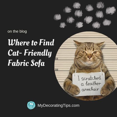 Looking for a cat-friendly sofa? here are my helpful tips! Enjoy! Cat Friendly Couch Sofas, Cat Friendly Couch, Cat Friendly Sofa, Cool Couches, Sofa Fabric, Sofa Material, Best Sofa, Cat Friendly, Cat Furniture