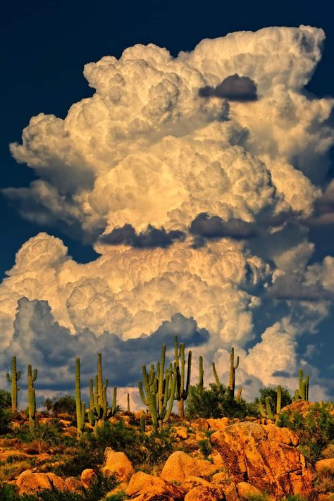 Monsoon Clouds, Waiting For Rain, Country Wallpaper, Desert Aesthetic, Wallpaper Aesthetics, Western Artwork, Western Aesthetic, Desert Painting, Pretty Landscapes