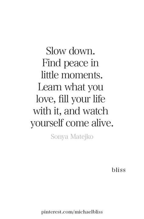 Time To Slow Down Quotes, Slow Down Quotes Life Wisdom, Slow Life Quotes, Slow Living Quotes, Slow Down Quotes, Michael Bliss, Bliss Quotes, Quotes Wisdom, Slow Life