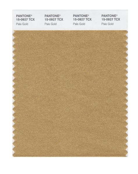 PANTONE SMART 15-0953X Color Swatch Card/ Pale Gold November Colors, Pantone Swatches, True Autumn, Style Analysis, Warm Springs, Gold Wall Decor, Container Architecture, Decor Stickers, Warm Undertone