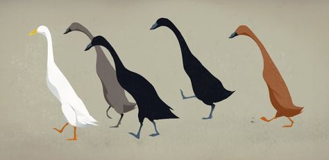 These ducks are HILARIOUS. Look how they run!!! Indian Runner Ducks, Hobo Art, Poppies Painting, Duck Tattoos, Duck Illustration, Runner Ducks, Duck Green, Duck Drawing, Duck Cartoon