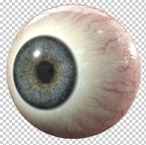 Eye Transparent Background, Eyeball Illustration, Human Eyeball, 3d Computer Graphics, Human Eye, Computer Graphics, 3d Modeling, Transparent Background, Resolution