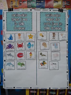 This anchor chart could be used as guided practice when learning about animal habitats and could then be hung on the wall as a reference throughout the year Ocean Animals Anchor Chart, Ocean Anchor Chart Preschool, Ocean Anchor Chart, Animals Chart, Life Systems, Preschool Ocean, Ocean Habitat, Ocean Theme Preschool, Ocean Unit